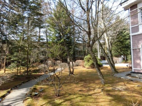 旧軽井沢音羽ノ森_中庭