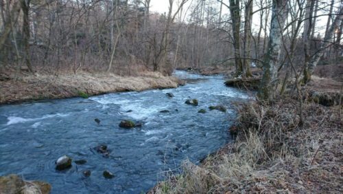 軽井沢星野エリア_護岸工事のされていない自然の河川