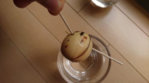 アボカド栽培_180502_アボカド君くん（2号）