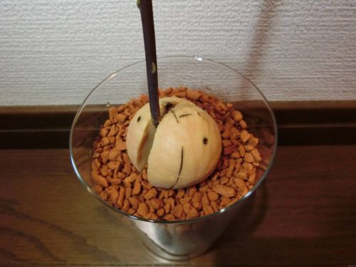 【アボカド栽培記録】190224 セラミス植え替え