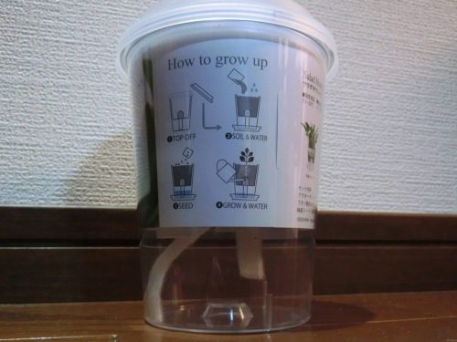 フレッシュフィール サラダホウレンソウ