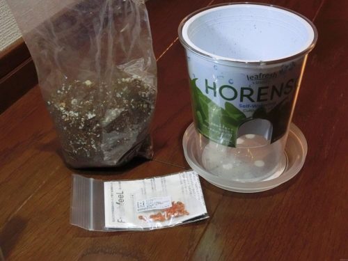 フレッシュフィール サラダホウレンソウ