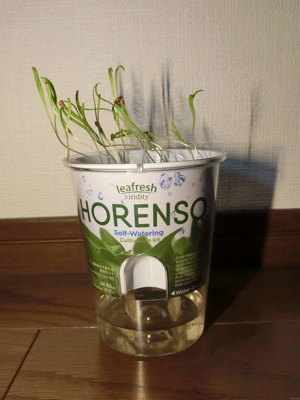 フレッシュフィール サラダホウレンソウ190401