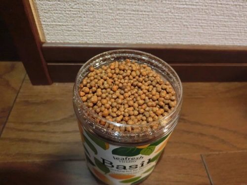 【バジル栽培記録】