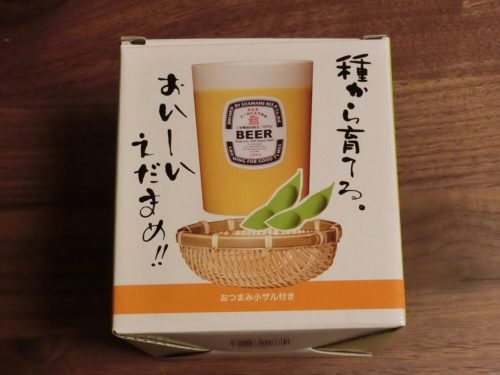 【枝豆栽培記録】190330