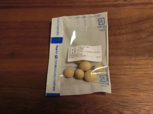 【枝豆栽培記録】190330