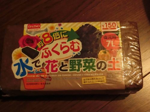 【プチトマト栽培記録】190402