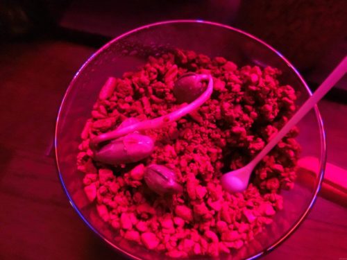 【枝豆栽培記録】190405