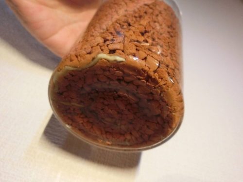 【アボカド栽培記録】190328