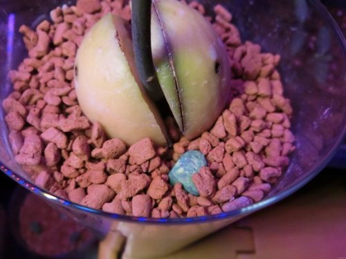 HYPONeX 錠剤肥料