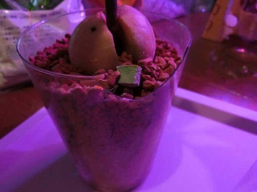 【アボカド栽培記録】190602 4号鉢割れで植え替え