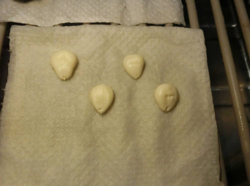 【あんず栽培記録】190704 種子を取り出す編