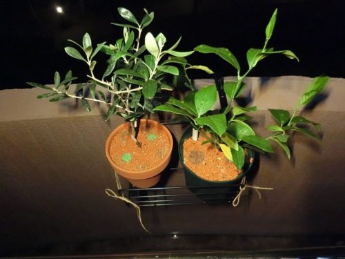 タカショーのウィンドウボックスホルダー