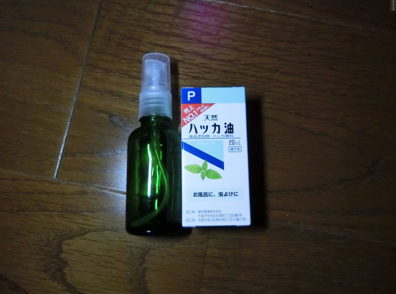 手指消毒用&マスク用のはっか油スプレーを作る