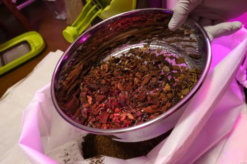 自然にカエルSのチップ交換メンテナンスを実施