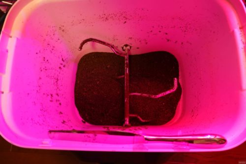 自然にカエルSのチップ交換メンテナンスを実施