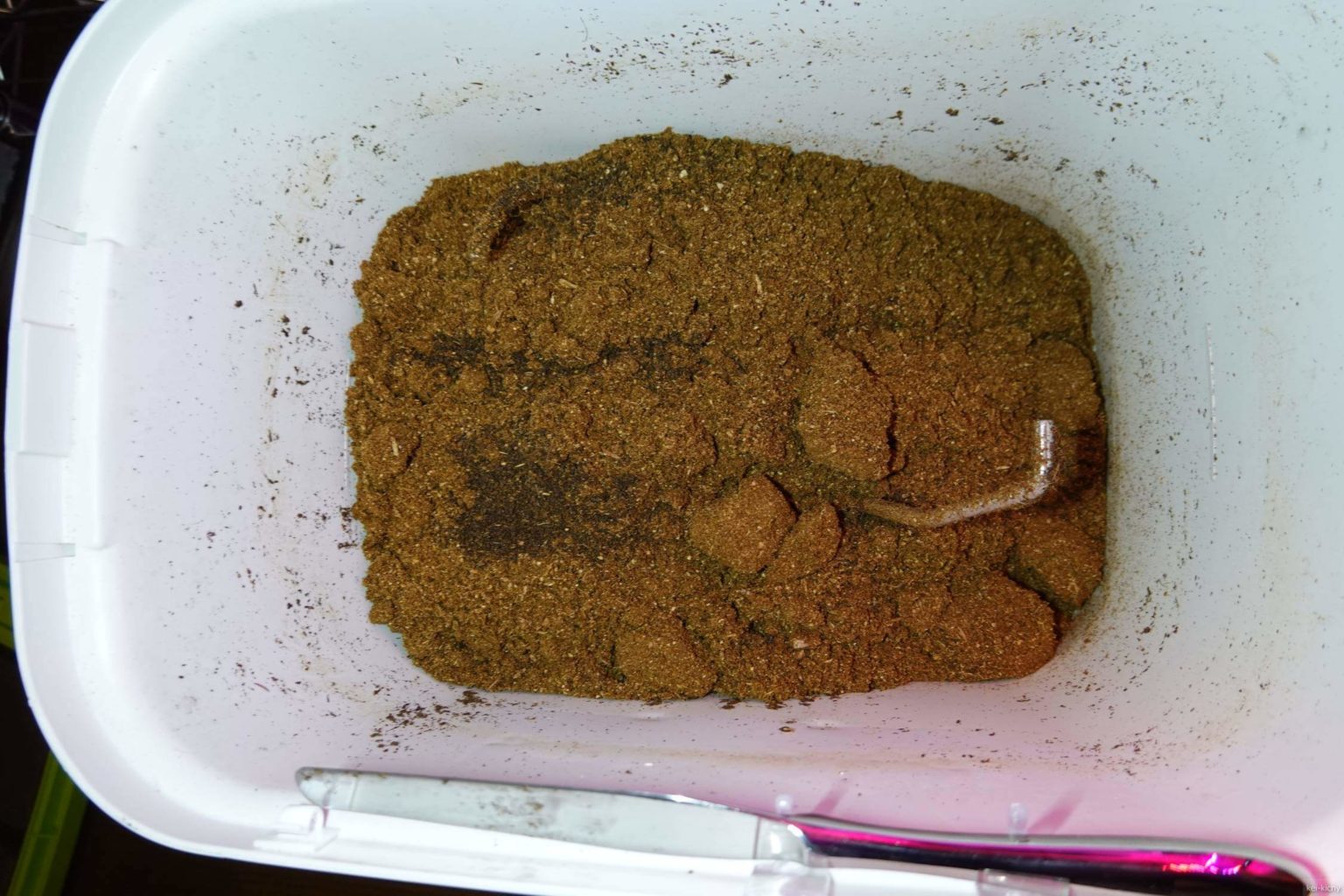 自然にカエルSのチップ交換メンテナンスを実施