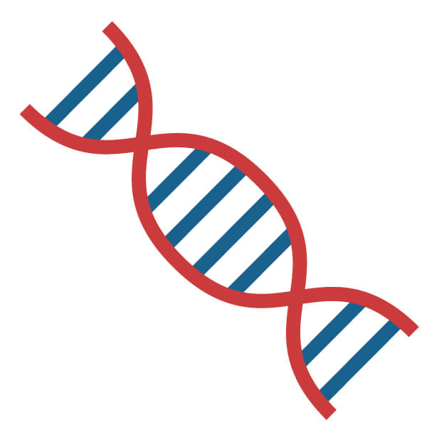 DNA、検査、遺伝子