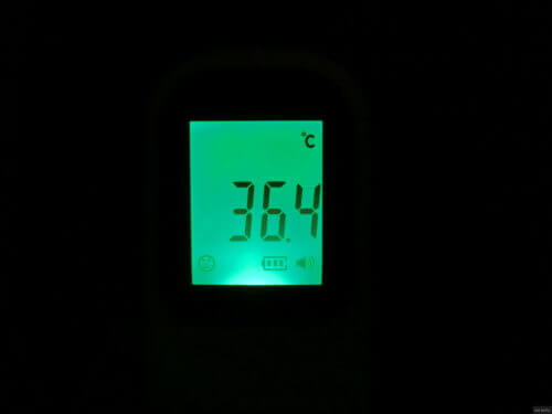 【子育てに相性良し】暴れる子供に非接触赤外線体温計（正しい使い方も）