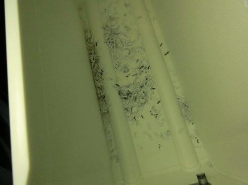 【オススメ】アイリスオーヤマの静音シュレッダーを買った