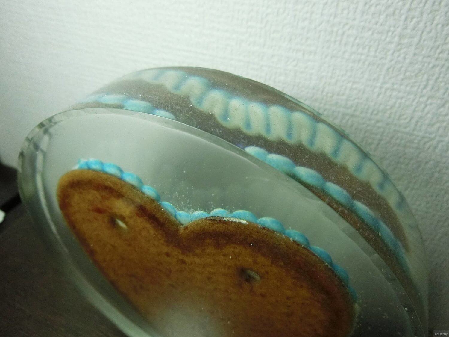 思い出のお菓子をエポキシ樹脂で固めて保存した話